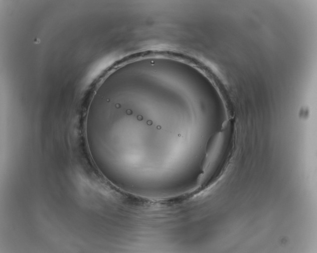 X0000091911263200709051411
