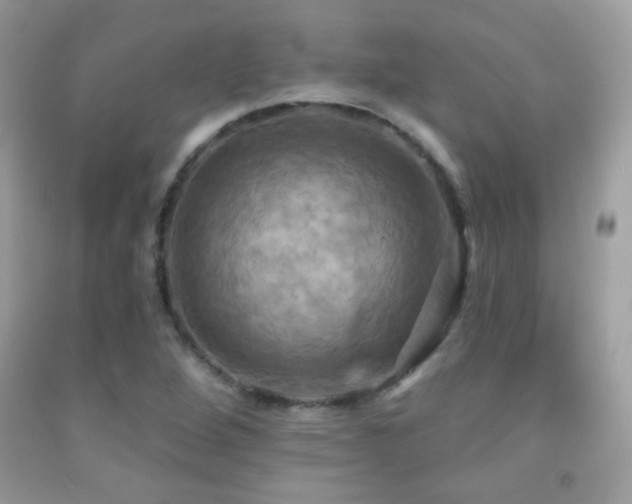 X0000091911264200709051411