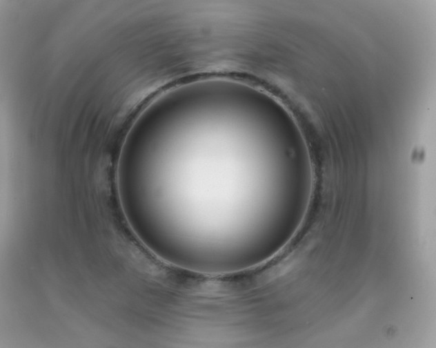 X0000091911265200709051411
