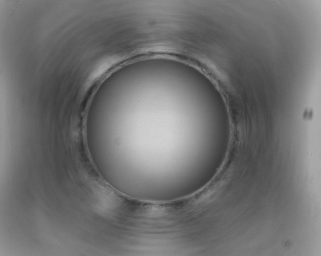 X0000091911266200709051411