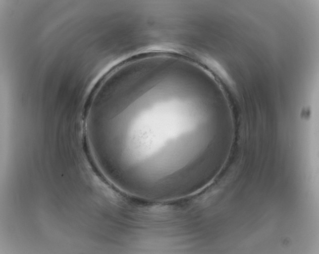 X0000091911268200709051411