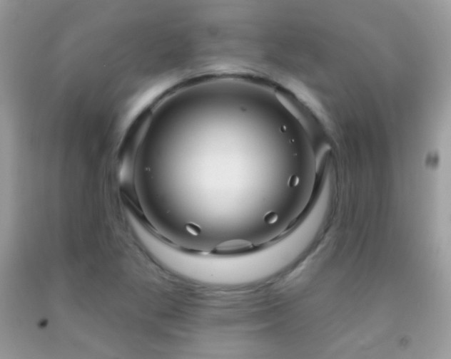 X0000091911269200709051411