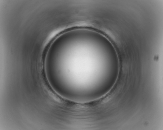 X0000091911270200709051411