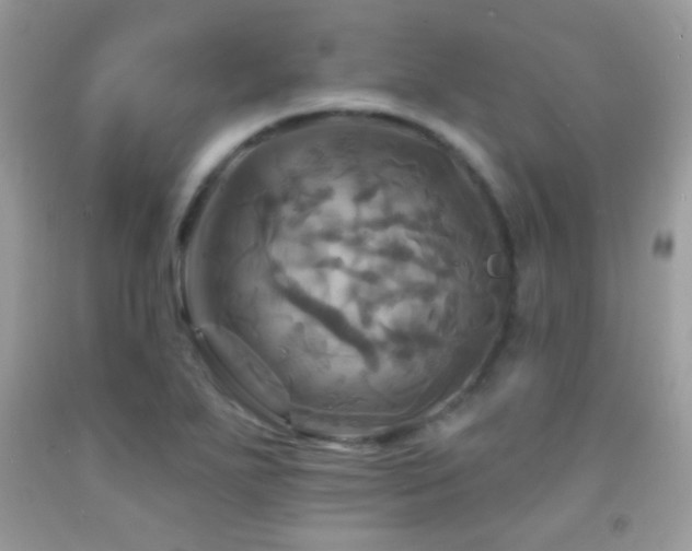 X0000091911271200709051411