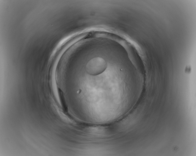 X0000091911272200709051411