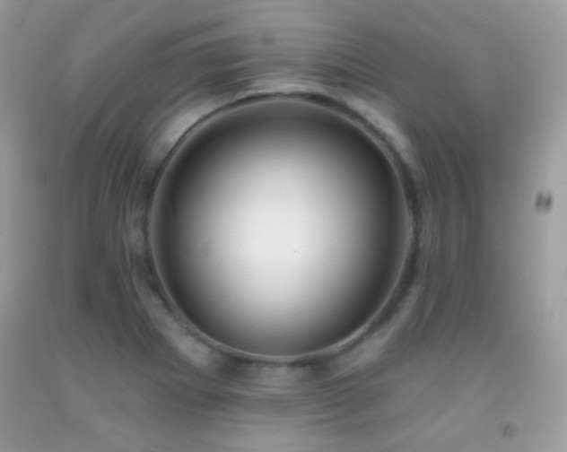 X0000091911273200709051411