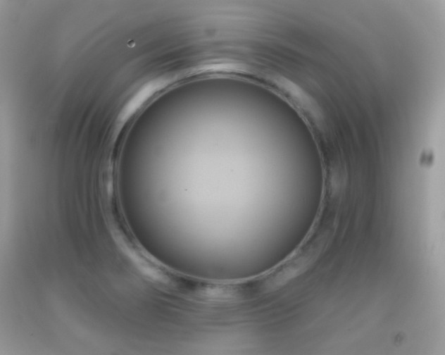 X0000091911274200709051411