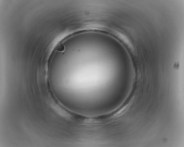 X0000091911275200709051411