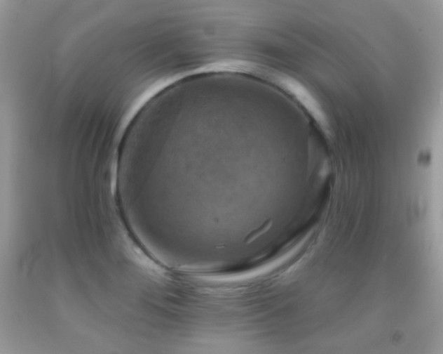 X0000091911276200709051411