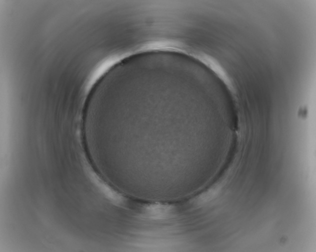 X0000091911277200709051411
