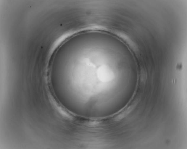X0000091911278200709051411