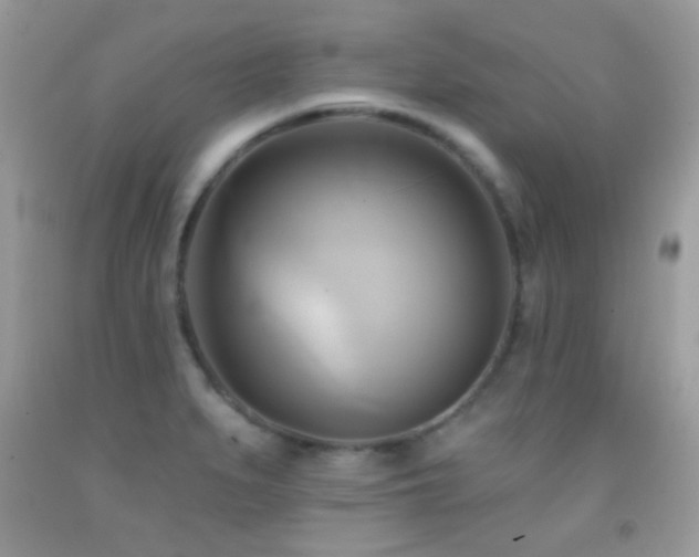 X0000091911279200709051411