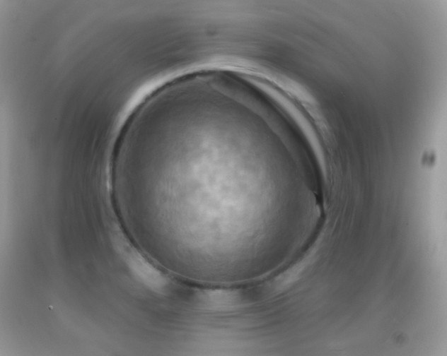 X0000091911280200709051411