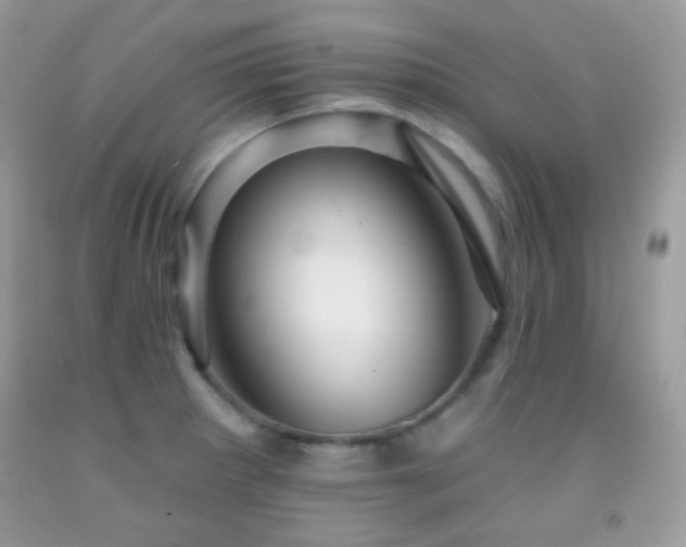 X0000091911281200709051411