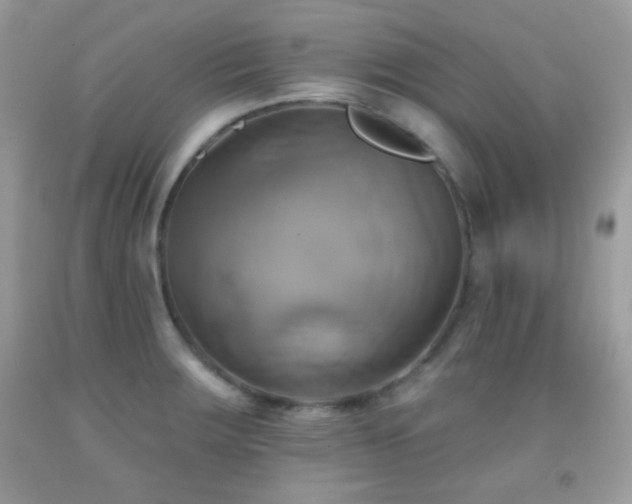 X0000091911283200709051411
