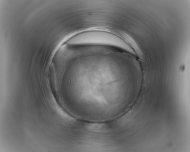 X0000091911284200709051411