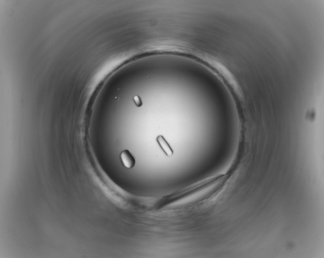 X0000091911285200709051411
