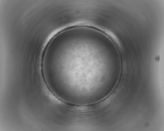 X0000091911288200709051411
