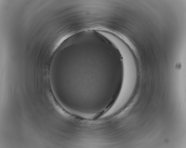 X0000091911289200709051411