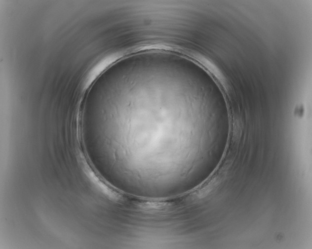 X0000091911290200709051411