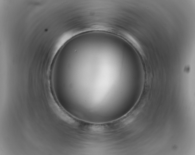 X0000091911291200709051411