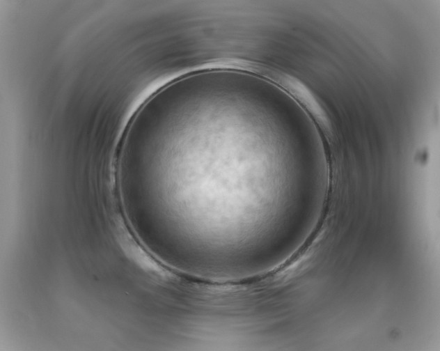 X0000091911292200709051411