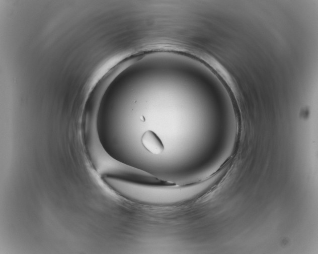 X0000091911293200709051411