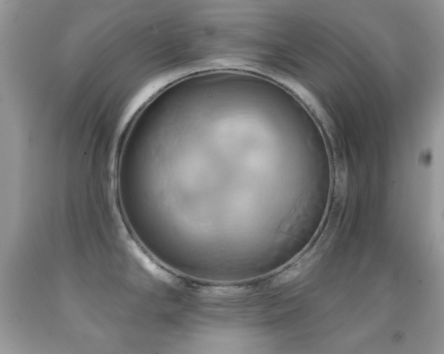 X0000091911294200709051411