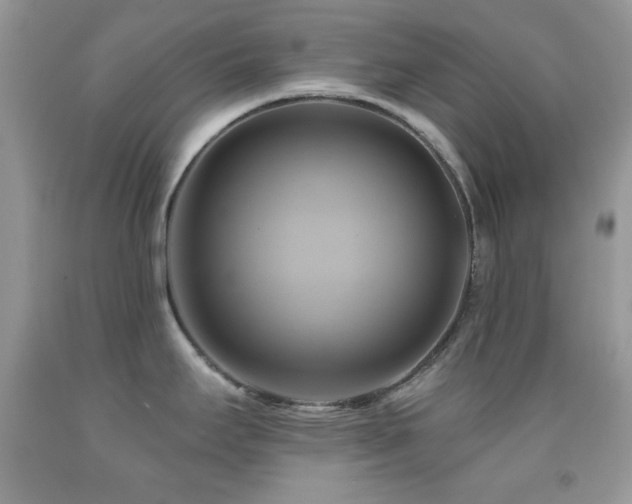X0000091911295200709051410