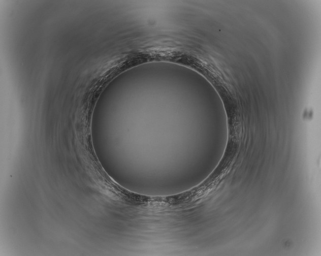 X0000091911297200709051410