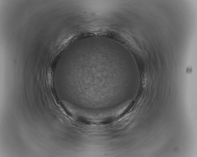 X0000091911298200709051410