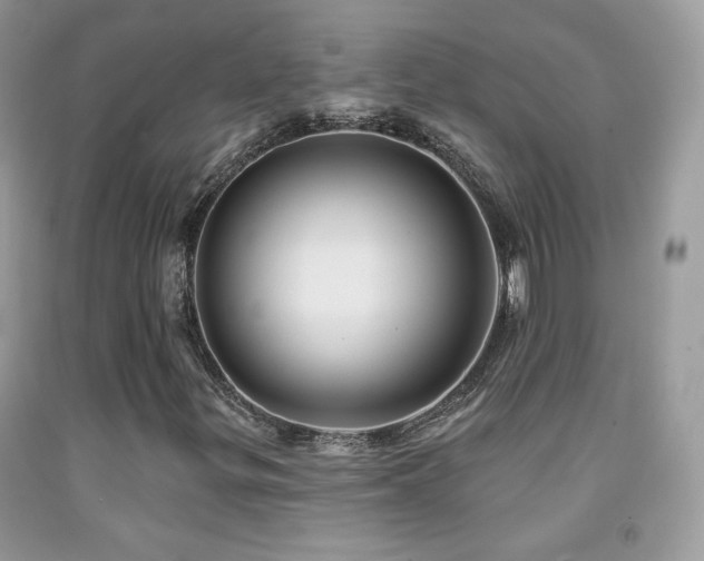 X0000091911299200709051410