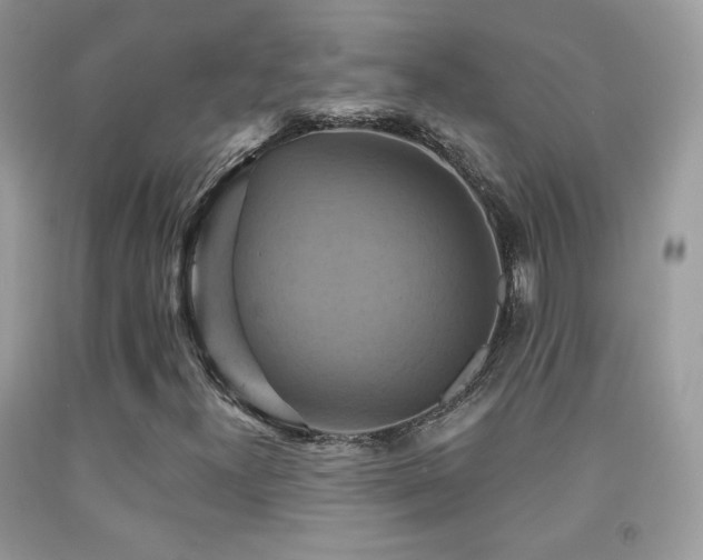 X0000091911300200709051410