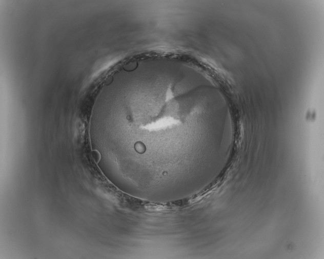 X0000091911302200709051410