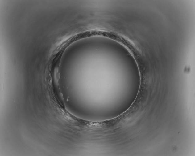 X0000091911303200709051410