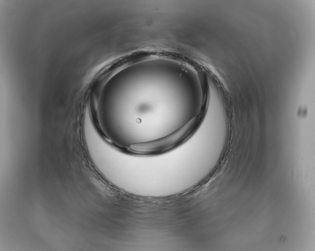 X0000091911304200709051410