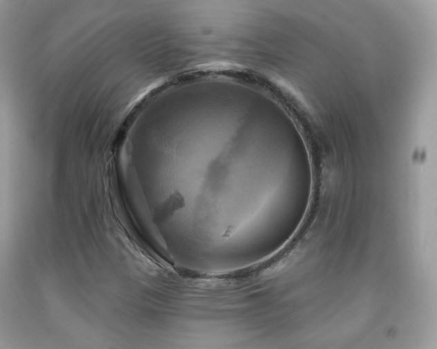 X0000091911305200709051410