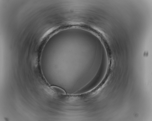 X0000091911306200709051410