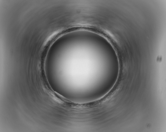 X0000091911307200709051410