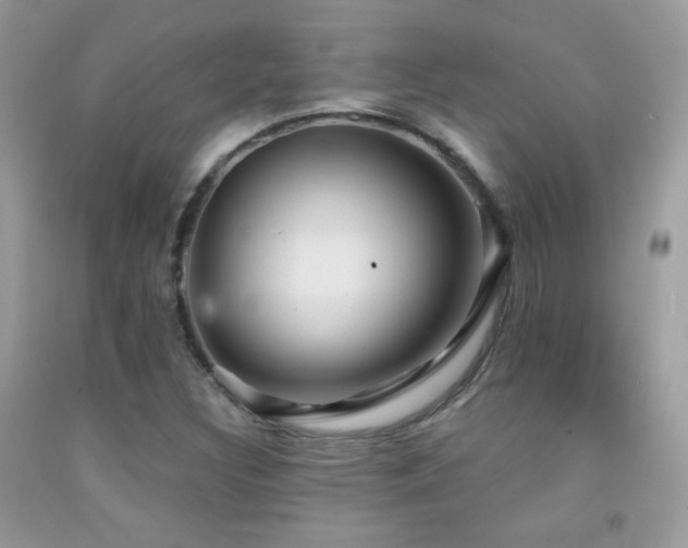 X0000091911308200709051410