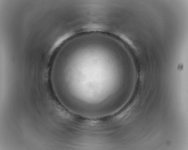 X0000091911309200709051410