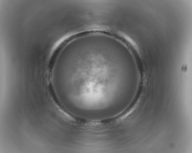 X0000091911310200709051410