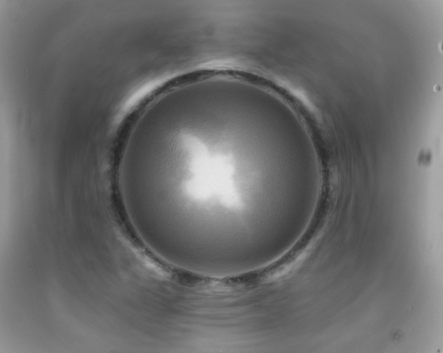 X0000091911311200709051410