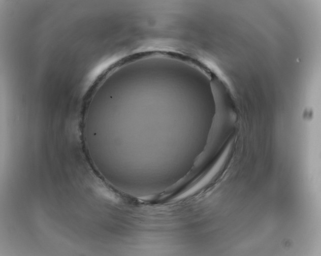 X0000091911312200709051410