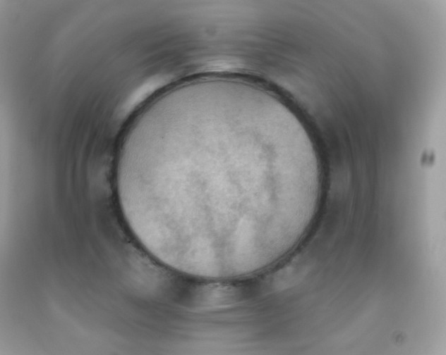 X0000091911314200709051410