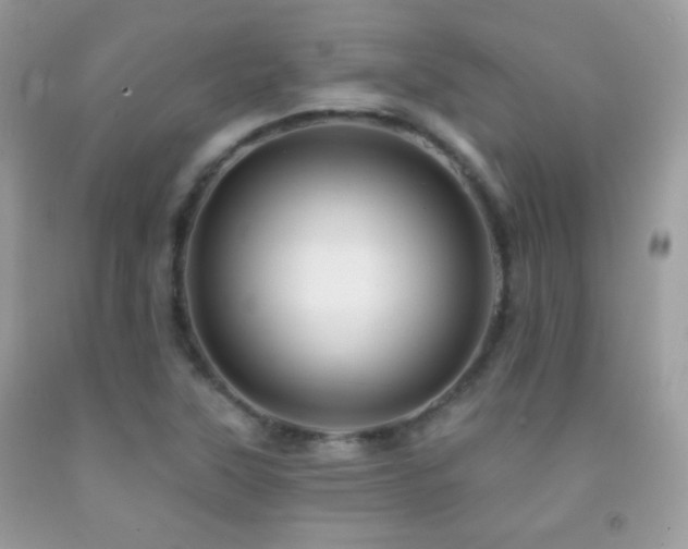 X0000091911315200709051410
