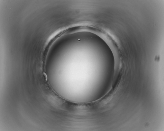 X0000091911316200709051410
