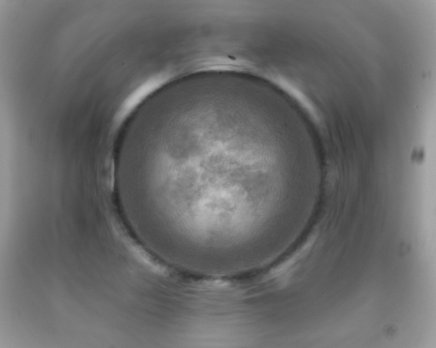 X0000091911317200709051410