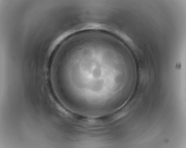 X0000091911318200709051410