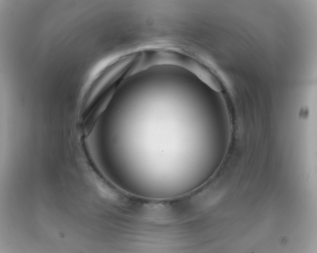 X0000091911320200709051410